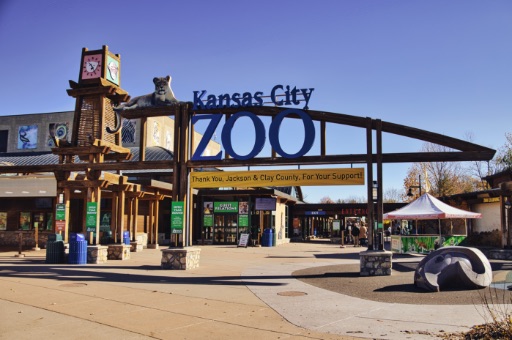 The Best Place To Visit In Kansas City MO - Kansas City Zoo