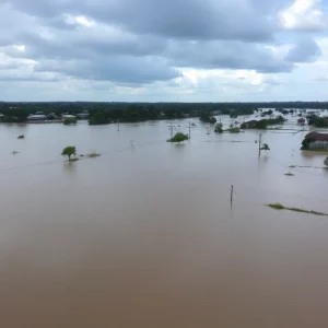 Flooded landscape with rising water and damaged infrastructure.